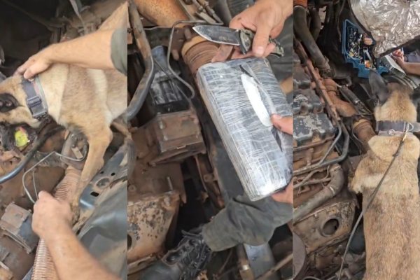 Cão Farejador 'Supergirl' Descobre Carga Milionária de Cocaína em Foz do Iguaçu