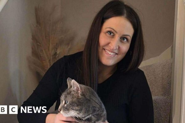 Milagre: Gato Desaparecido é Reencontrado Após Cinco Anos