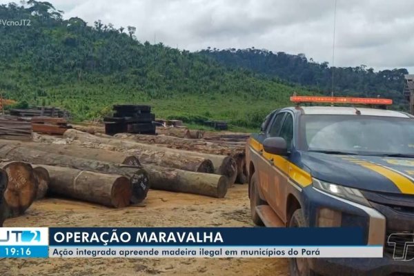 Operação Maravalha Desmantela Rede de Extração Ilegal de Madeira no Pará