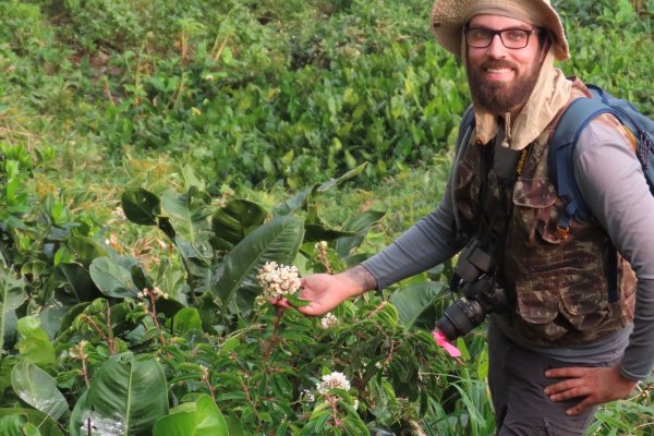 Begonia larorum: Planta Brasileira Redescoberta Após um Século no Arquipélago de Alcatrazes